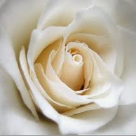 Missa de 7º dia de falecimento do Ministro Flávio de Oliveira Lencastre